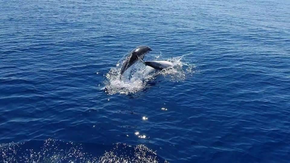 Dolcesosta B&B Marina Di Pulsano エクステリア 写真